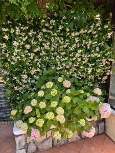 Apartment Ela, Kostrena Rijeka