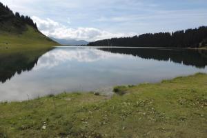 Appartements Appartement tout confort centre : photos des chambres