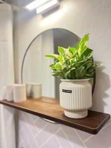 Cozy Stay I Trang Tien, Hanoi