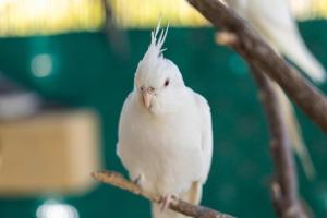 Change The World - Herdade Monte do Peral