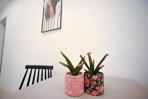 Apollon Patision Family Suite by Zeus Suites