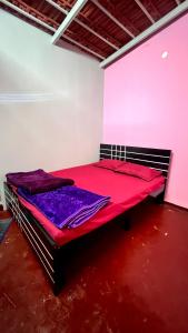 The Birds Nest Homestay