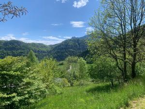 Maisons de vacances Maison de charme sur le plateau du Vercors au calme dans un veritable ecrin de verdure : photos des chambres