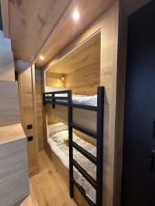 Appartements Superb apartment for 4 - 100m from the slopes : photos des chambres