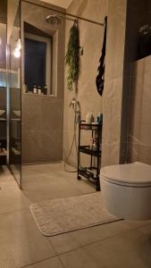 Luxurious apartment in the center of Belgrade