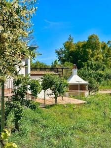 Villa Buoncammino img36