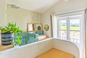 Mas provençal, entre vignes et oliviers