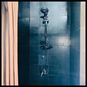 The Cottage in the Citrus Grove