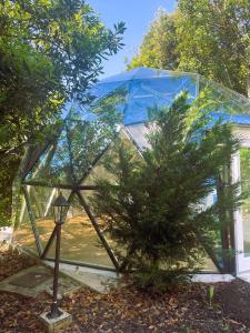 Quinta do Abacate - Glamping Park