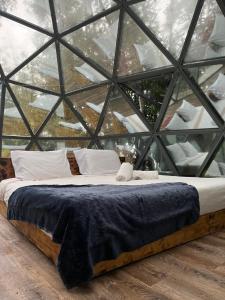 Quinta do Abacate - Glamping Park