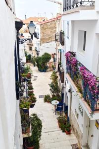 Gema histórica en Santa Cruz Doble Terraza Vistas