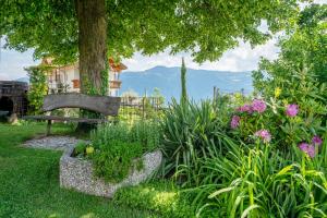 Appartement Supérieur 2 Chambres