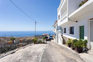 Minimalist Home La Pecera