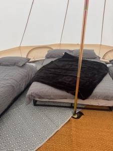 Hill Fruit Farm Glamping