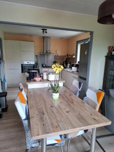 maison spa sauna wattwiller