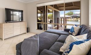 Private Jetty Dolphins Family Pets-Canal Life