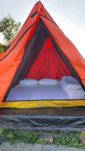 Mundum Farm Stay
