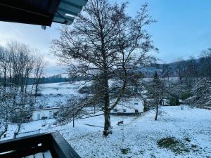 Tiny Ferienhaus 4 am Rimbach in Steinau an der Strasse