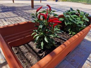 Vento del Sud casa vacanze