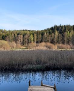 Freyja Summer Forest Retreat Cabin with Private Outdoor Tub and Lakeside Views
