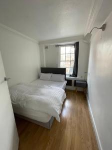 Bright 2Beds Apartment in Marylebone London