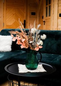 Osada Poli Koniaków - Panoramiczny Domek nr 5 z Prywatną Balią i Hydromasażem