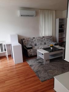 Дом Борисови