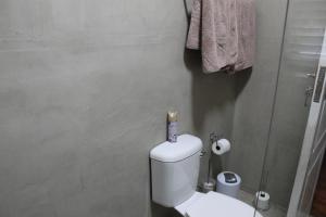 Little Green World House