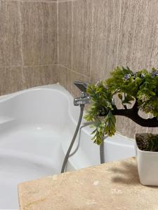 Luxury Fes Central Apartment