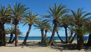 Plakopoules Beach Apartments