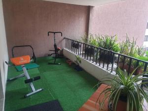 French Suite Cordero, amazing view, internet veloz