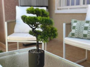 Triple Five Apartment