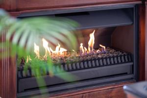 CM15 - Franzis Dream-C15