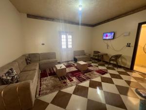 شقه مفروشه الاسكندريه برج العرب الجديده الحي الثاني