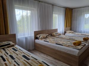 Nakvynė Akmenėje -Pušyno pašonėje-