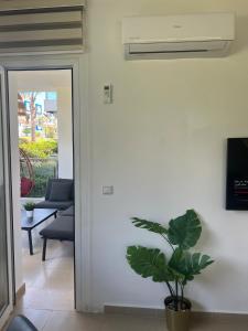 Nice garden level apartment, Cabo