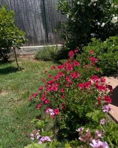 Casa Priscilla img11