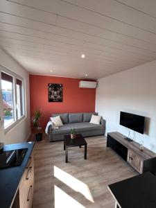 Appartement proche zenith "mizo"