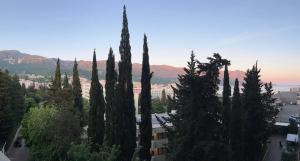 Sea View Apartments MonteBook