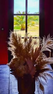 Villas Mas de la Plaine : photos des chambres