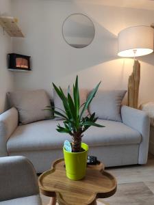 Appartement élégant, chaleureux et cosy à Reims