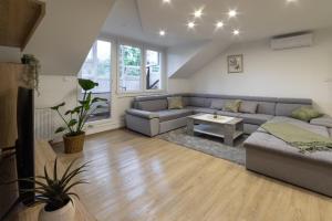 Lili Rooms