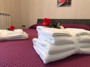 Residenza delle Rose