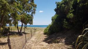 APPARTAMENTO LA DUNA - CASA sulla SPIAGGIA img48