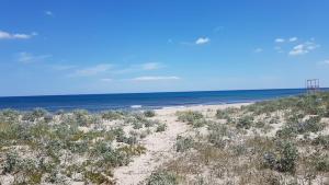 APPARTAMENTO LA DUNA - CASA sulla SPIAGGIA img51