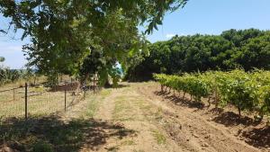 APPARTAMENTO LA DUNA - CASA sulla SPIAGGIA img52