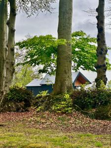 Lodges Le Vert d-Orezza-Bain nordique privatif : Suite - Vue sur Jardin