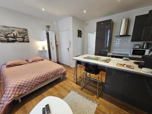 Appartements Le Pastel - grand studio renove : photos des chambres