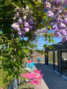 Josephine's Guesthouse - WOMEN ONLY with rooftop and community area