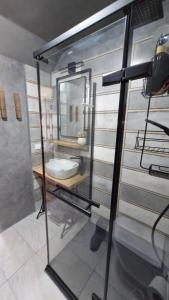 Apartman Mocic